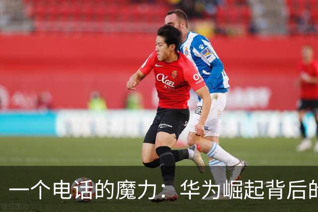 一个电话的魔力：华为崛起背后的奇妙故事